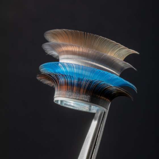 LASH&CASH SHADES ANTIQUE, mix of 28 lines, SCULPTOR