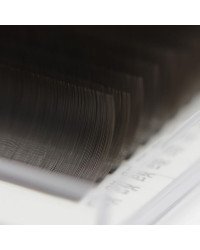 Dark chocolate lashes for extensions LASH&CASH, mix 28 lines, SCULPTOR