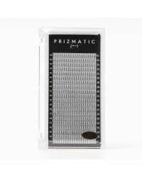 SCULPTOR PRIZMATIC pre-made fans  for lash extensions | Order a tray with a mix of popular lengths 8-14 mm