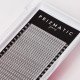 SCULPTOR PRIZMATIC pre-made fans  for lash extensions | Order a tray with a mix of popular lengths 8-14 mm