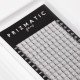 SCULPTOR PRIZMATIC pre-made fans  for lash extensions | Order a tray with a mix of popular lengths 8-14 mm
