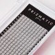 SCULPTOR PRIZMATIC pre-made fans  for lash extensions | Order a tray with a mix of popular lengths 8-14 mm