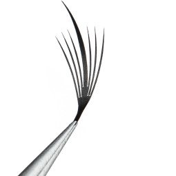 Пучки на ленте черные PRIZMATIC Wings Flairy, mix 20 линий, SCULPTOR