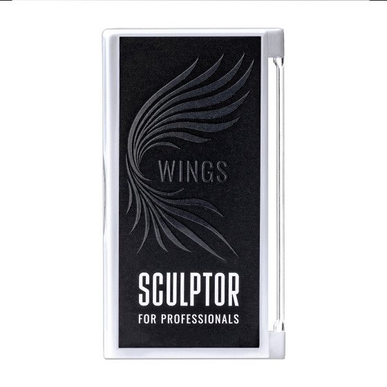 Пучки на стрічці чорні PRIZMATIC Wings Flairy, mix 20 ліній, SCULPTOR 