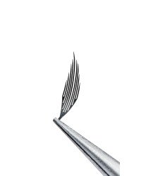 PRIZMATIC Wings Royal Fan, mix 20 lines, SCULPTOR